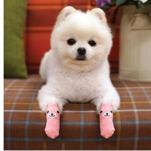 패리스독 동물친구 양말 - 핑크(곰) 애완용품