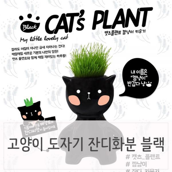 인테리어식물 블랙 고양이모양 잔디화분세트